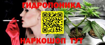 ПСИЛОЦИБИНОВЫЕ ГРИБЫ Конаково