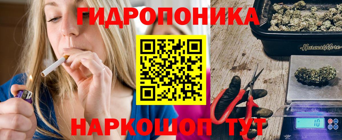 Бошки Шишки VHQ Клинцы
